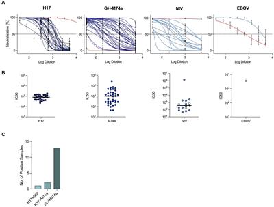 Serological evidence of virus infection in Eidolon helvum fruit bats: implications for bushmeat consumption in Nigeria